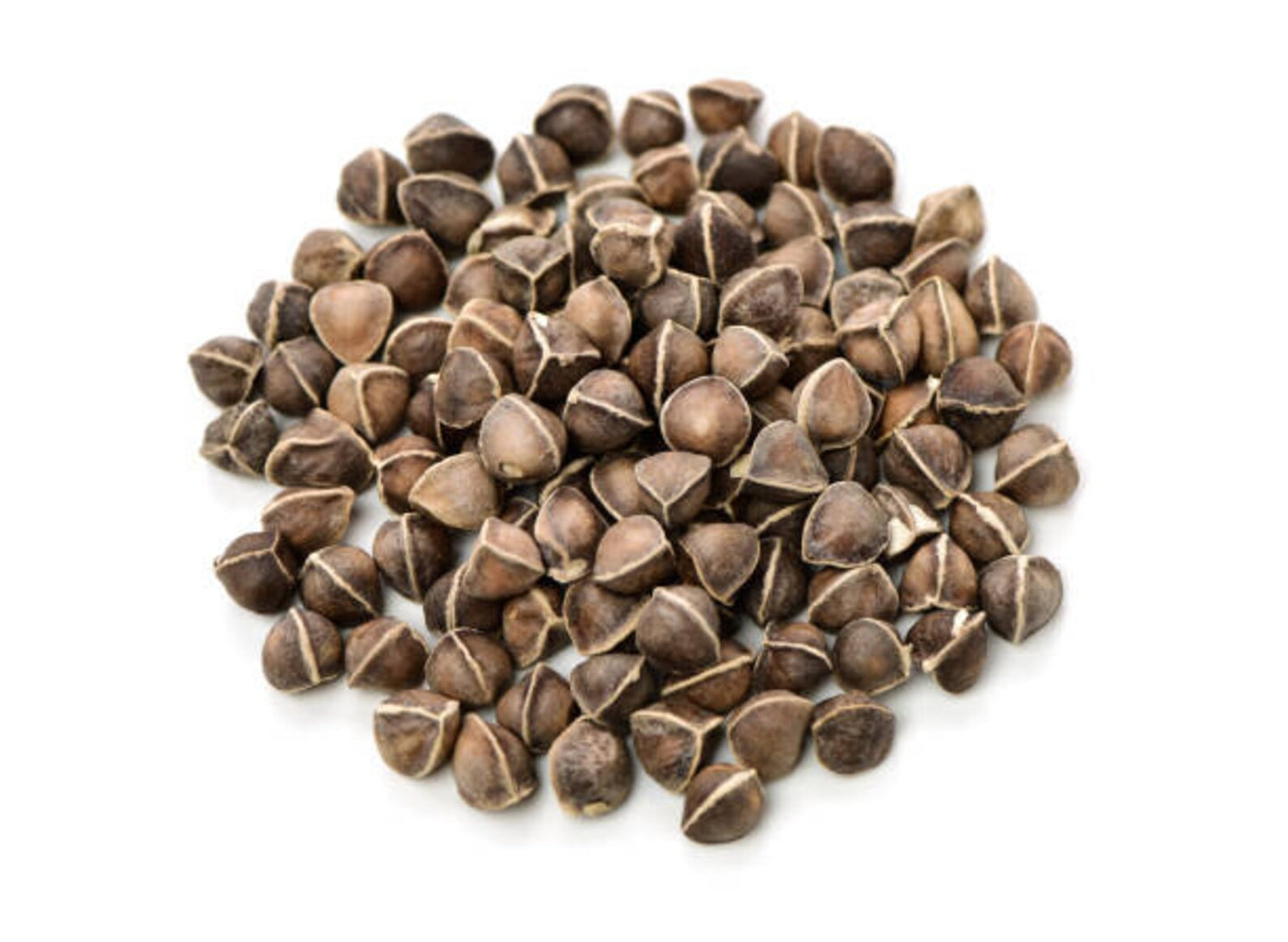 Moringa Seeds