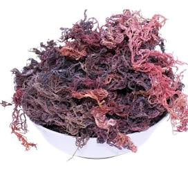Purple Sea Moss (wild crafted)
