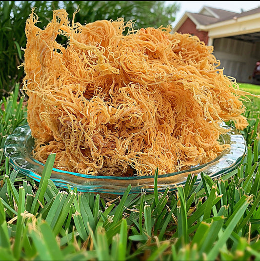 Sea Moss (wild crafted)