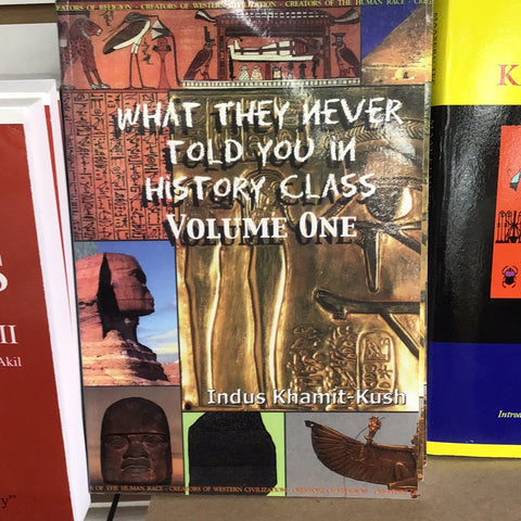 What they  never told you in history class : volume one