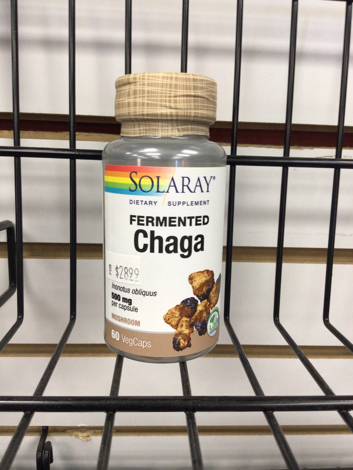 Fermented Chaga